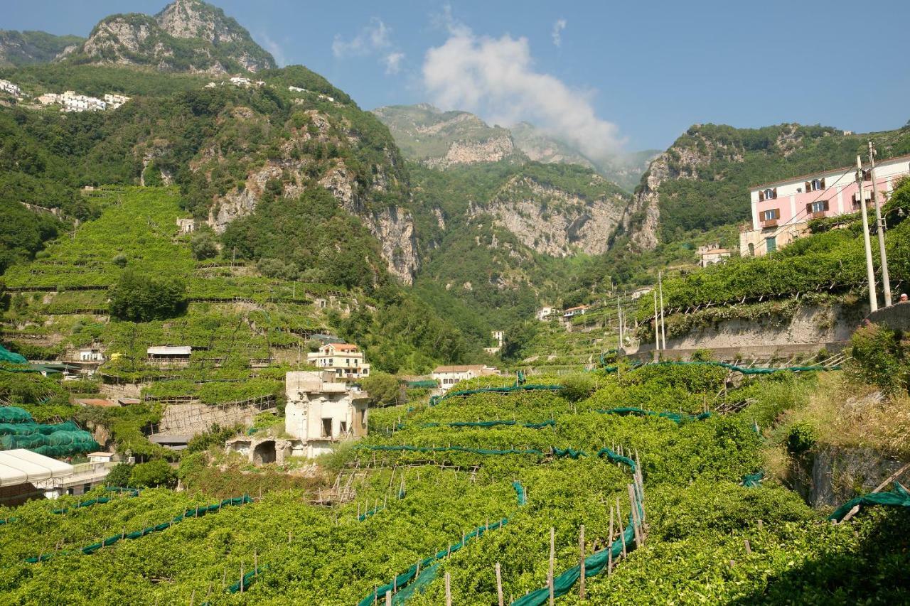 Villa Pricitella Amalfi Exteriör bild