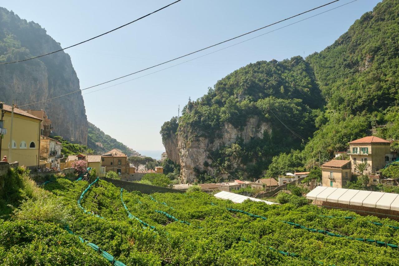 Villa Pricitella Amalfi Exteriör bild